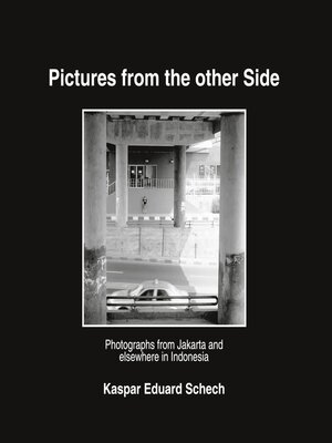 cover image of Pictures from the Other Side